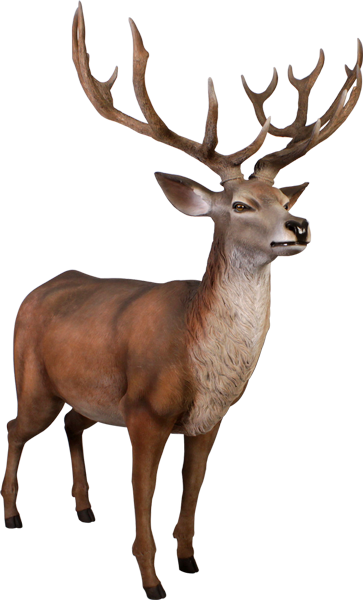 Deer (363x600), Png Download