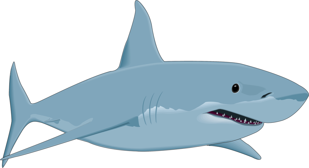 Shark Clipart - Cartoon Great White Shark (1023x557), Png Download