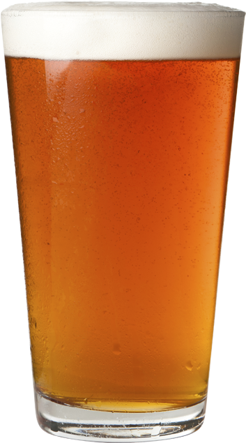 Shark Attack Xpa - Amber Beer (700x700), Png Download