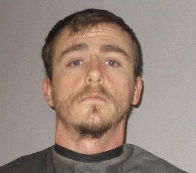 Palm - Palm Coast (870x580), Png Download