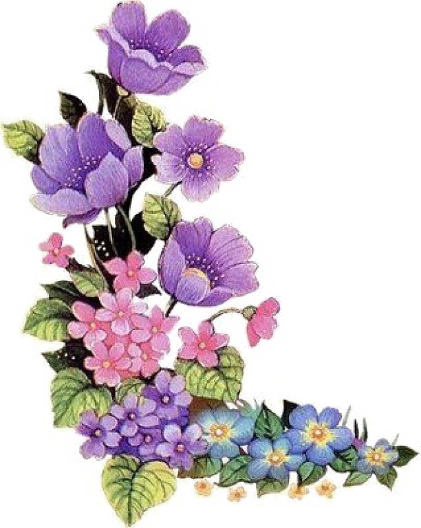 Purple Floral Border Free Png Image - Purple Flower Border Png (612x768), Png Download
