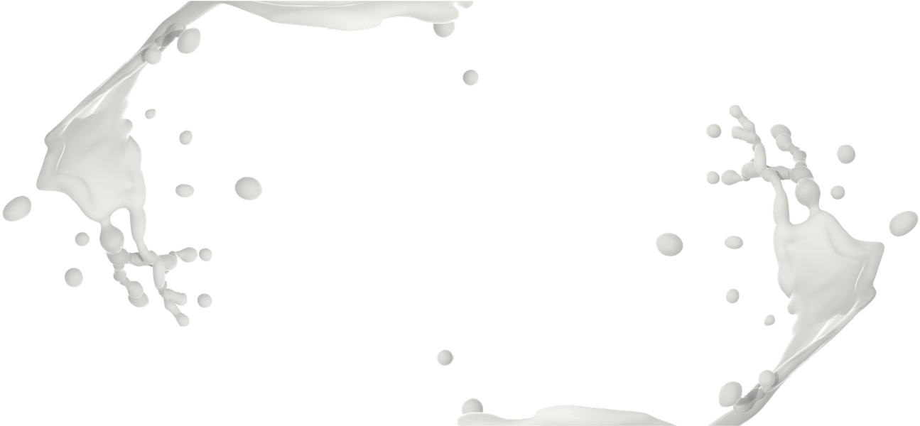 Banner 1 2 - Herbe (1920x607), Png Download