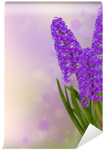 Purple Flowering Hyacinth Border Wall Mural • Pixers® - Stock Illustration (400x400), Png Download