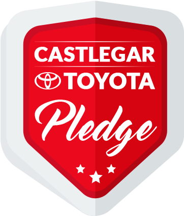 Castlegar Toyota Pledge - Dj Sax (361x440), Png Download