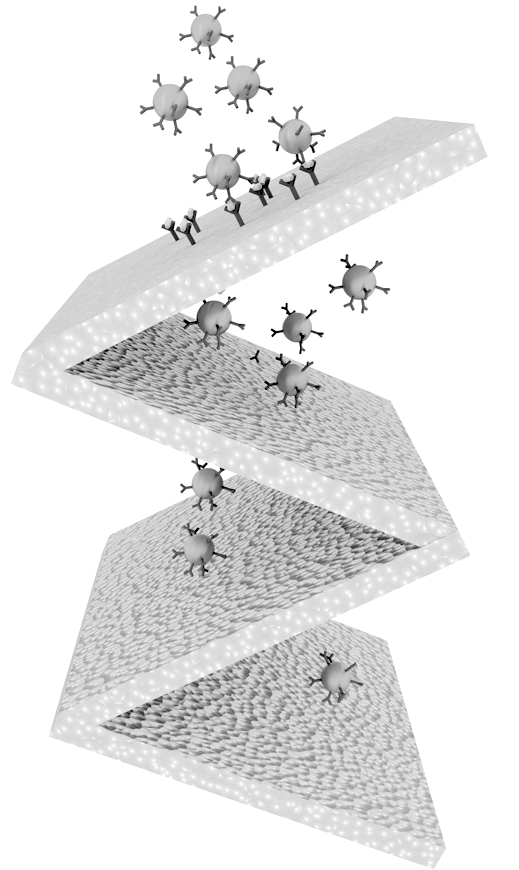 We Are Developing Biosensors That Enable Detecting - Paper (680x869), Png Download