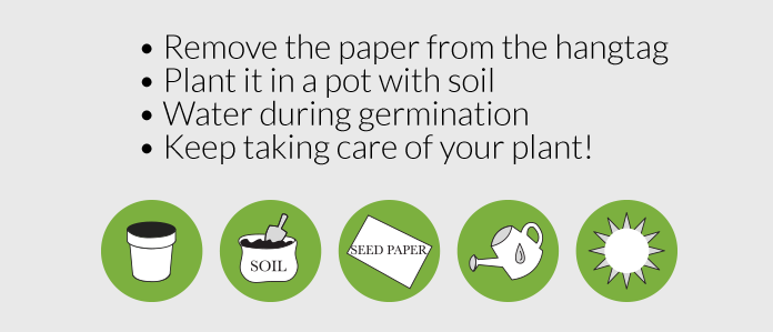 The Paper Is Transformed Into A Meadow You Are Not - Graphic Design (696x299), Png Download