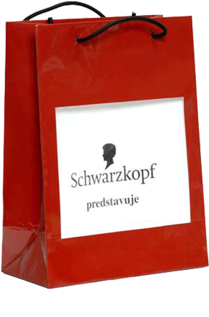 1007-0020 - Schwarzkopf Professional (600x800), Png Download