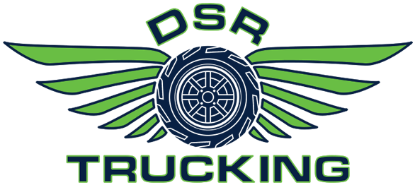 Quality You Deserve & Dependability You Can Count - Logo Dsr (585x300), Png Download