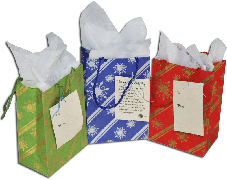 Holiday Seeded Gift Bags - Paper (800x625), Png Download