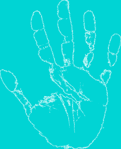 Blog Yes No - Colorfulness (390x480), Png Download