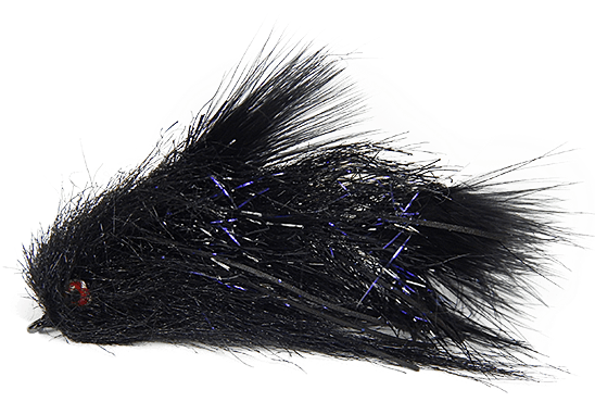 Porcupine (555x741), Png Download