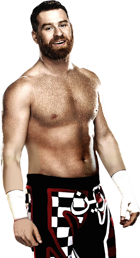 Sami Zayn Fondo De Pantalla (458x844), Png Download