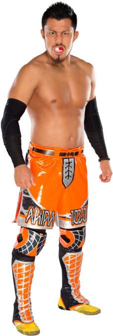 Akira Tozawa - Wwe Akira Tozawa Png (320x728), Png Download