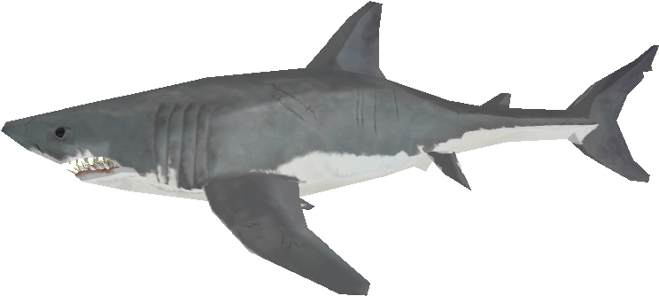 Download Zip Archive - Zoo Tycoon 2 Great White Shark (750x650), Png Download