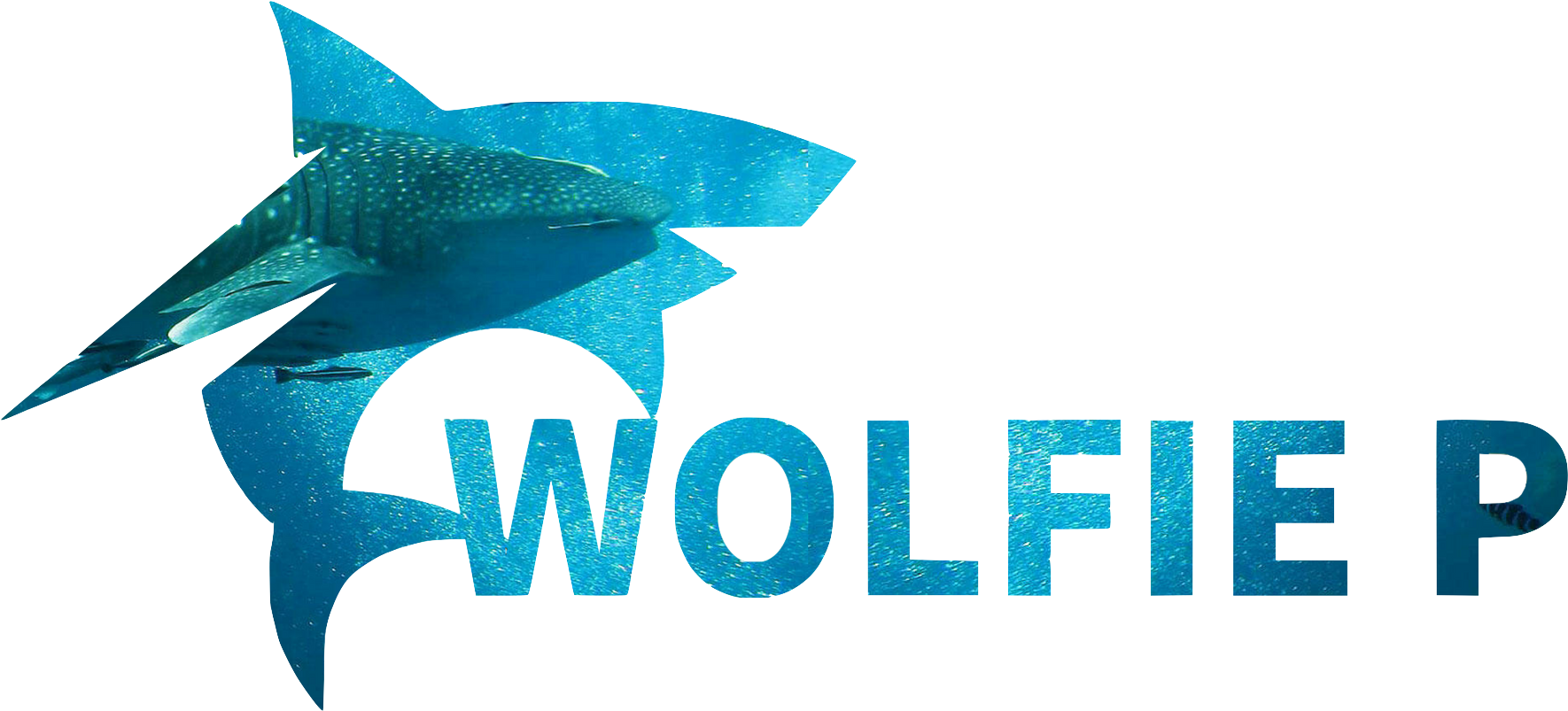 Great White Shark Conservation Program - Conservation (2560x1440), Png Download