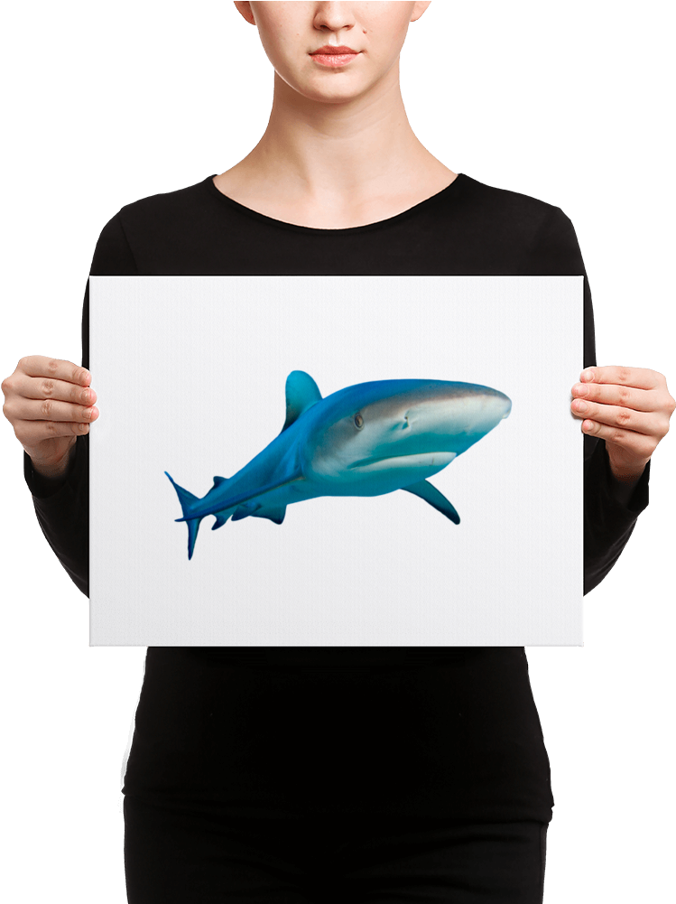 Great White Shark Canvas - Black Mask Fawn French Bulldog Is Ready (1000x1000), Png Download