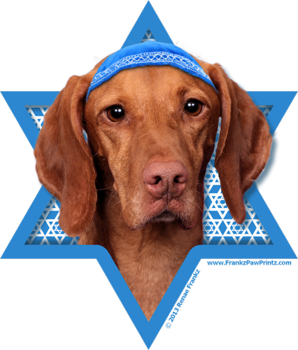 To Add A Little Fun, I Placed A Matching Yamaka On - Chanukka-davidsstern - Vizsla - Reagan Karte (426x500), Png Download