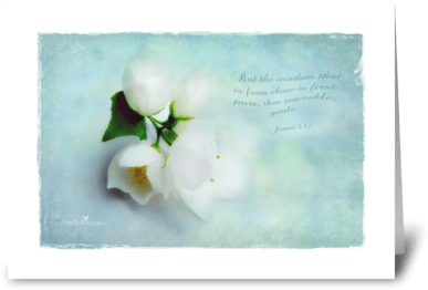 Wisdom From Above Greeting Card - Greeting Card (424x349), Png Download