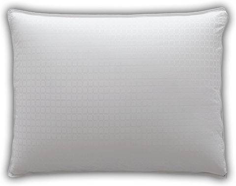 Premium White Goose Down Creates Dreamy Fluff You Can - Cushion (480x378), Png Download