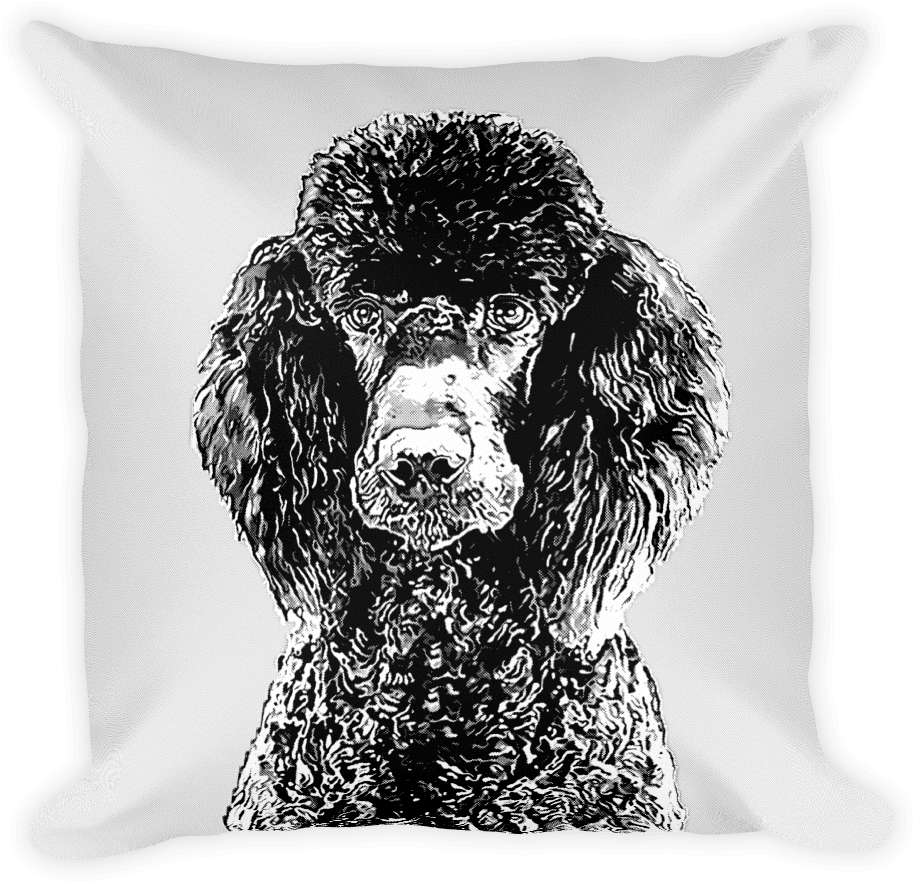Poodle Duotone Comic White Decorative Pillow - Cushion (1000x1000), Png Download