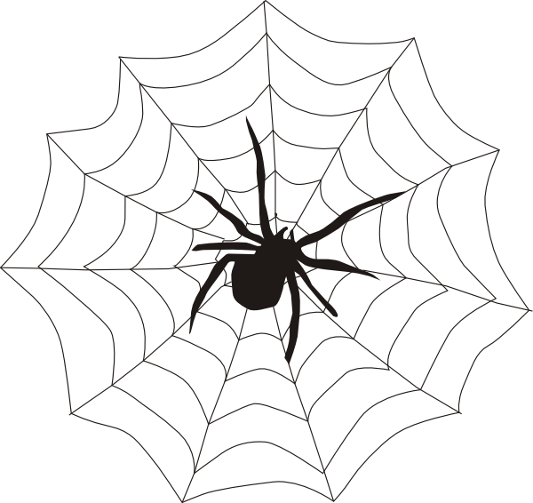 Best Spider Clipart - Web Of A Spider (600x566), Png Download
