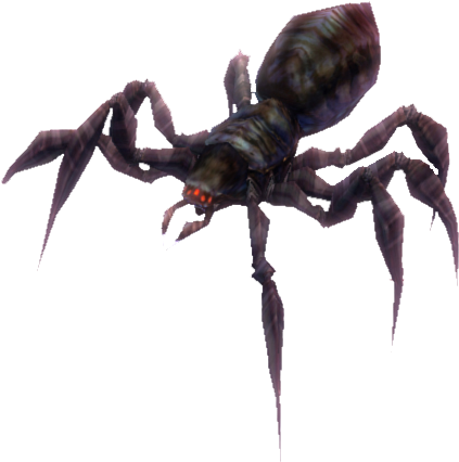 Black Widow - Wolf Spider (493x451), Png Download