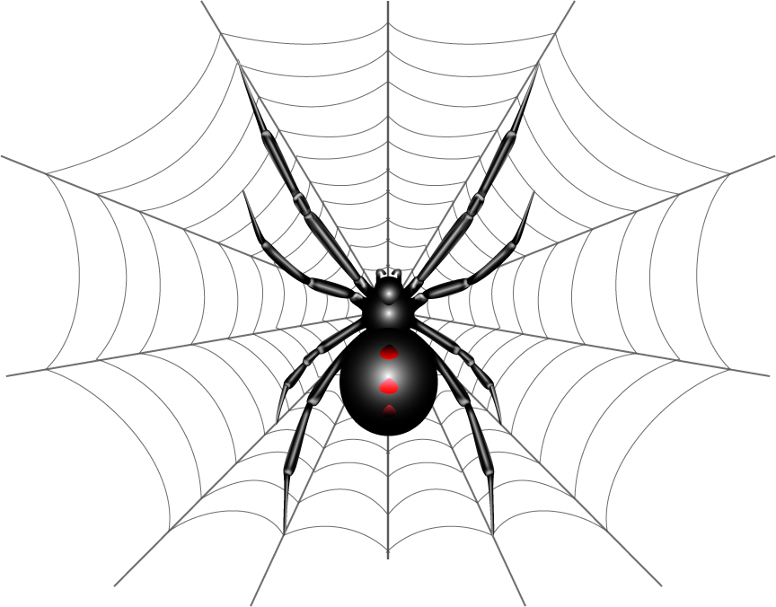This Is A Vector Illustration Of A Black Widow Spider - Spider Web (864x676), Png Download