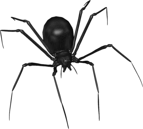 Scary Spider Black Widow Over Black Surface Drawing - Araignées Halloween (500x450), Png Download