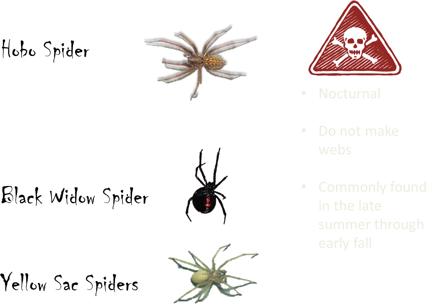 Poisonous Spiders - Death Before Dnf Rectangle Sticker (1460x1020), Png Download