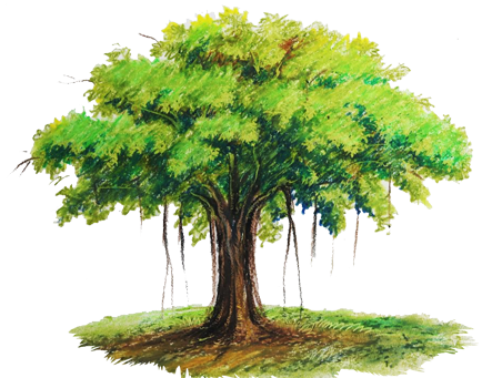 But Most Of All, We Are An Enthusiastic Bunch Of People - Tree Drawing In Pastel (640x346), Png Download