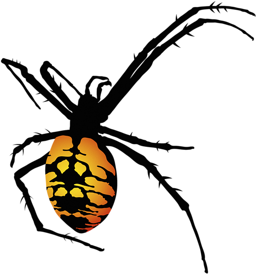 Bleed Area May Not Be Visible - Black And Yellow Spider Png (600x600), Png Download