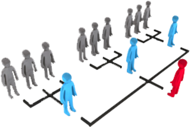 All U - Organizational Structure Transparent (640x266), Png Download