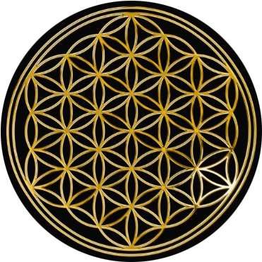 Gold Flower Png When You Sign Up For One Of Our Workshops - Flower Of Life Gold (398x396), Png Download