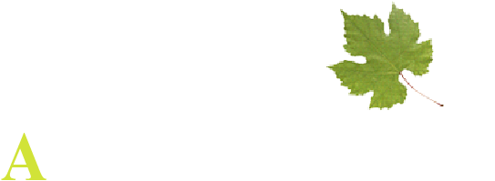 Home - Guiana Chestnut (567x224), Png Download