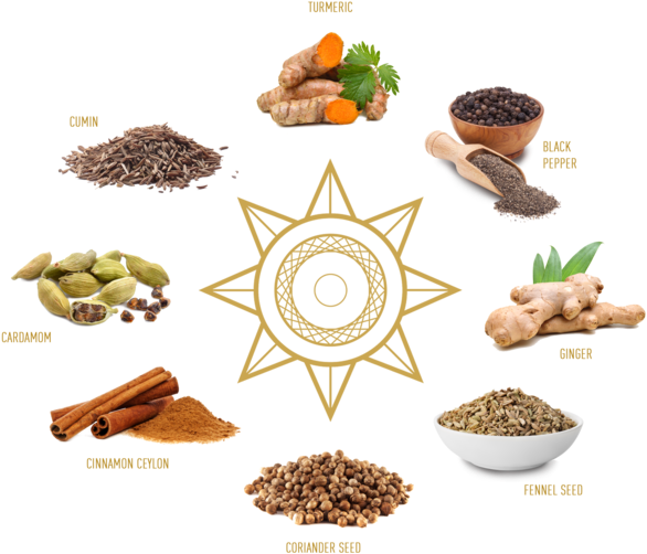 Gold Spice - Infographic - Ieovo 8-inch Wooden Pepper Mill, Brown (1000x584), Png Download