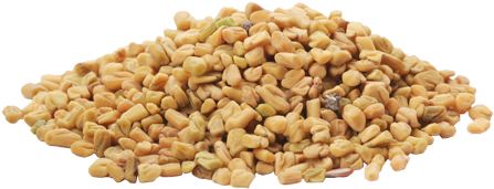 Fenugreek Seeds - Coconut Milk And Fenugreek For Shiny Hair (500x270), Png Download