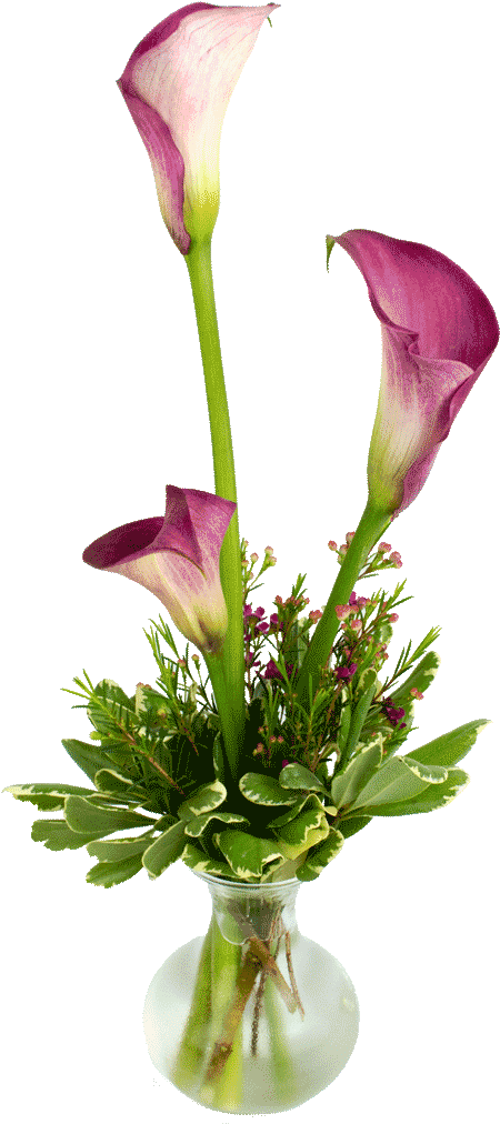 Bistro Calla Lilies - Calla Lily Vase Png (1024x1024), Png Download