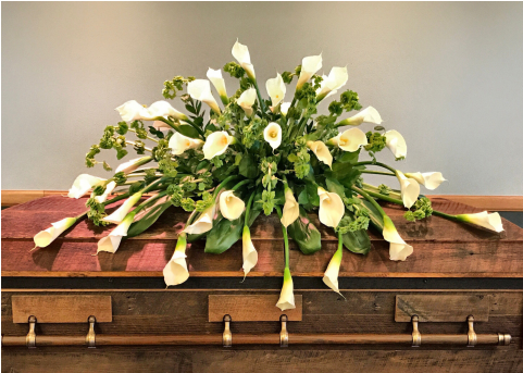 Calla Lily Casket - Lily (480x480), Png Download