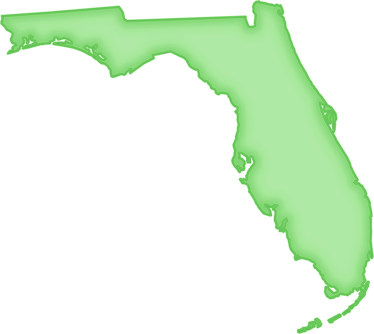 For Help With Png Maps, Or Deciding Which Format Of - Cartoon Pic Of Florida (768x687), Png Download