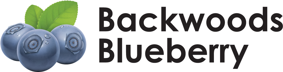 Wonderful Blueberry Flavor Straight From The American - Skipping Breakfast (2000x777), Png Download