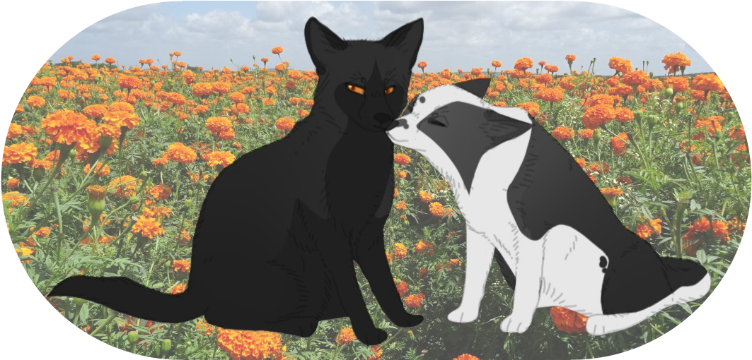 Shadow And Poet-modifieddemon - Black Cat (1100x600), Png Download