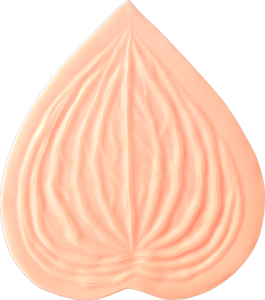 Calla Lily - Lily (864x980), Png Download