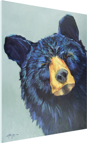 You Lookin' At Me - Texas Treasures Fine Art Gallery (372x500), Png Download