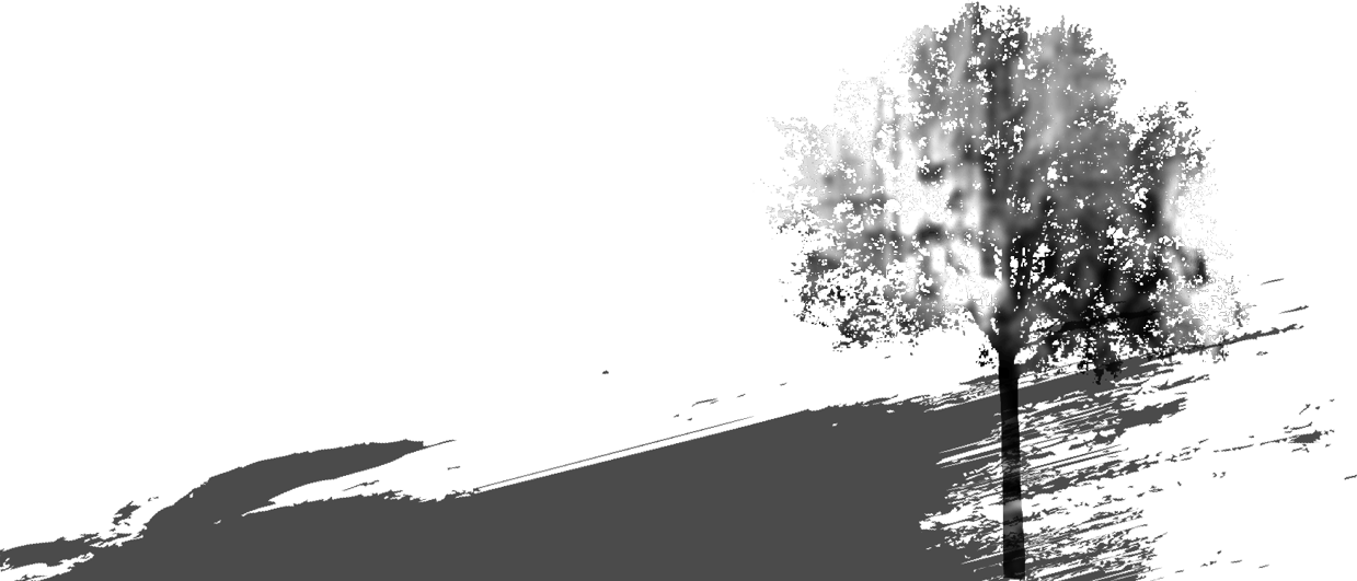 For Your Creation - Art Print: Allen's Tree Silhouette Gold 3, 13x13in. (1239x531), Png Download