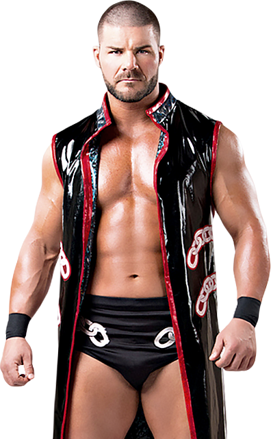 Probably Deleted Because They Used A Tna Photo, Lol - Wwe Bobby Roode Render (396x641), Png Download