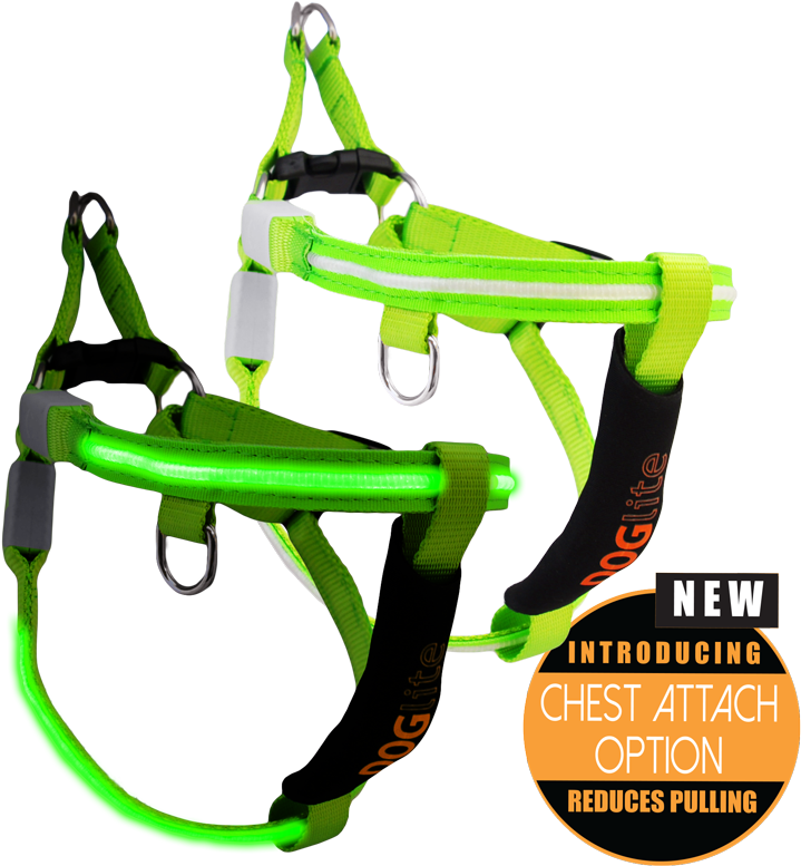 Mini Dog Led Dog Harness - Pet Harness (800x801), Png Download