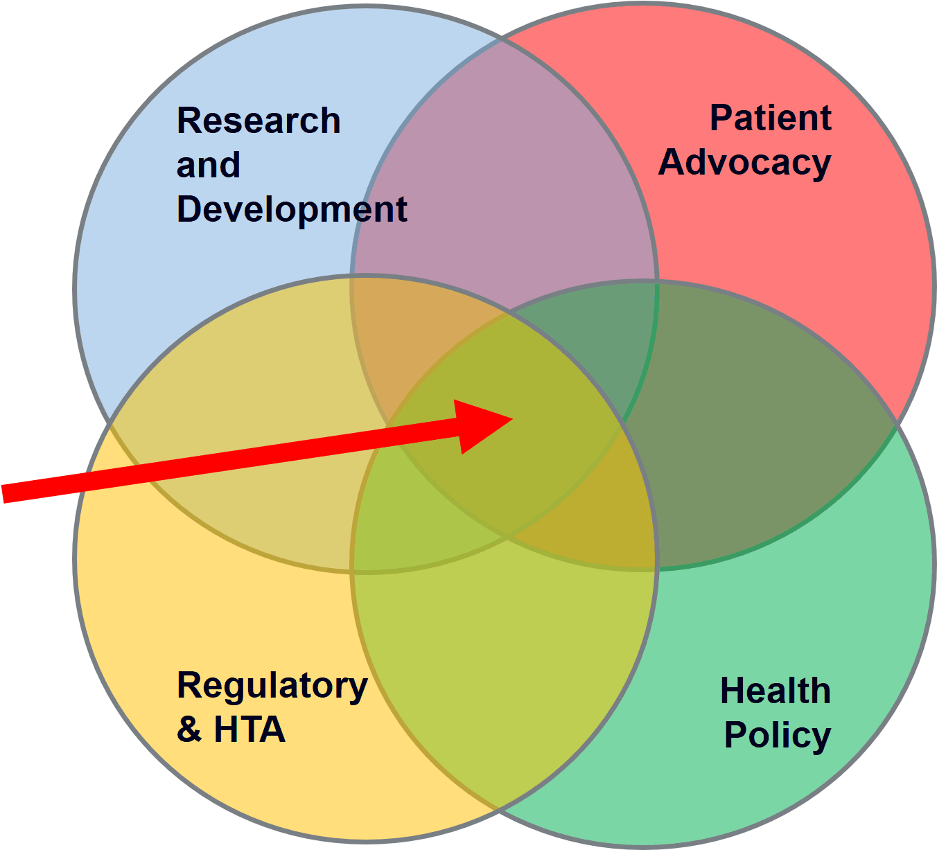 Patient Organisations Play A Crucial Role In The Three - Circle (1416x1252), Png Download