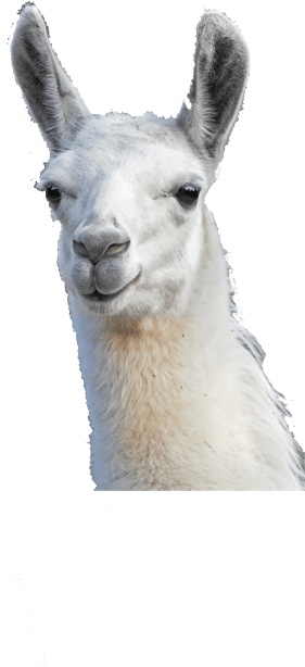 Save The Llama Drama For Your Mama - Give Thanks Thanksgiving Party Photo Booth Props Kit (1200x750), Png Download