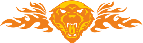 Vinilo Decorativo Tattoo Cabeza De Lobo En Llamas - Tiger Flames Shower Curtain (470x470), Png Download