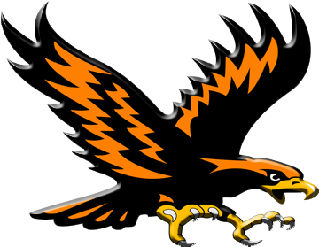 Burning Super Eagles - Somerset Eagles (400x300), Png Download